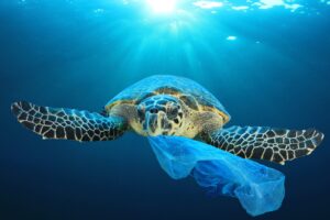 It is possible to get rid of plastic and we must do it